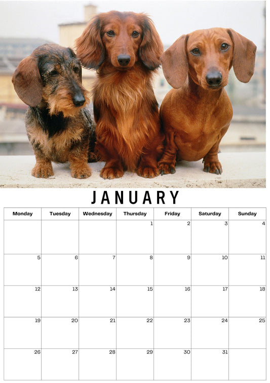 Personalised Pet  Calendar 2026 – The Pet Gift!